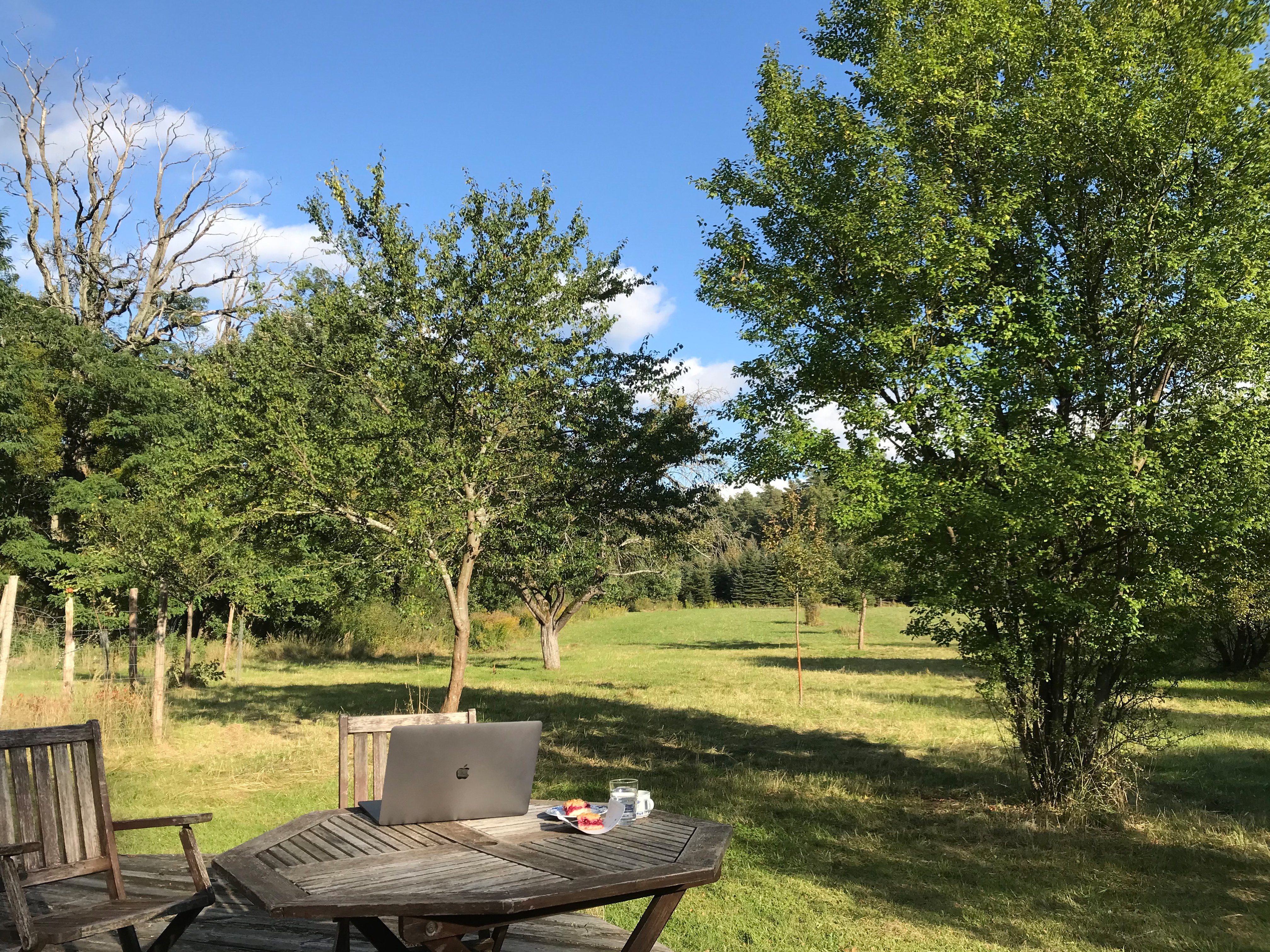 photograph taken at Stechlin Institut, depicting trees, a wooden table, a portable computer device, a glass of water and some Kirschstreuselkuchen it seems